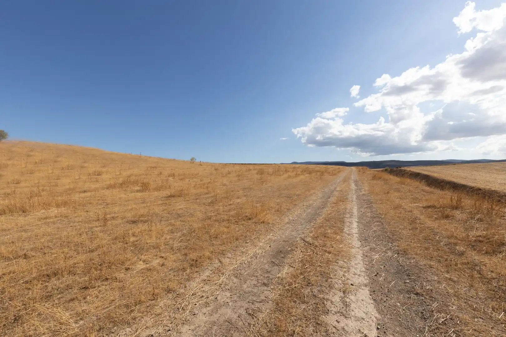 Lands and plots for sale in Polígono Polígono 6 Parcela 17 CAÑADA ESPARRAGAL. VILLA D 6, imagen 23