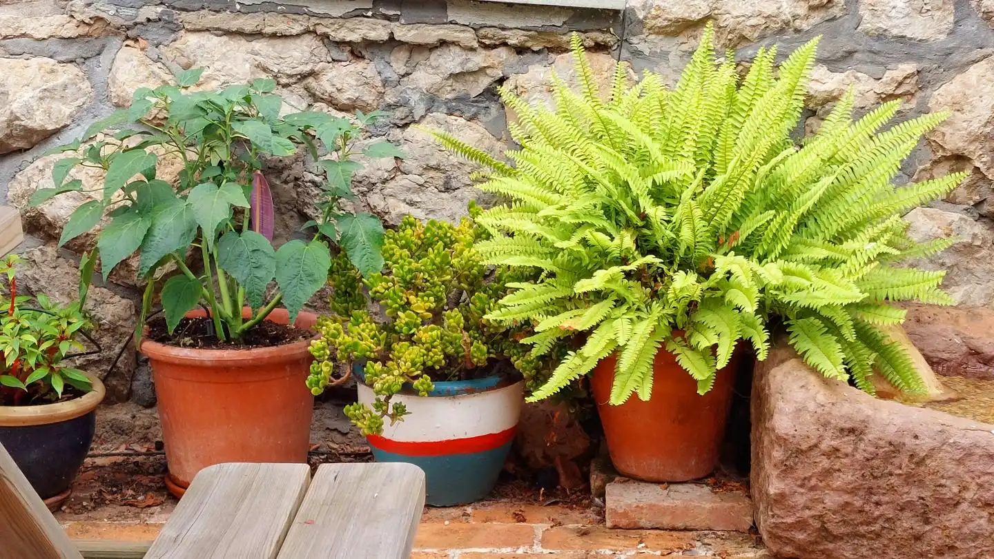 Terrassa de Planta baixa de lloguer en Santander amb Calefacció, Jardí privat i Terrassa
