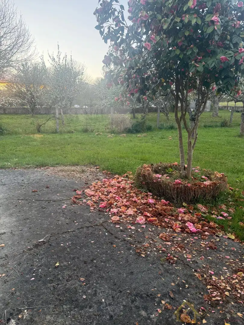 Jardín de Casa o chalet en venta en Friol