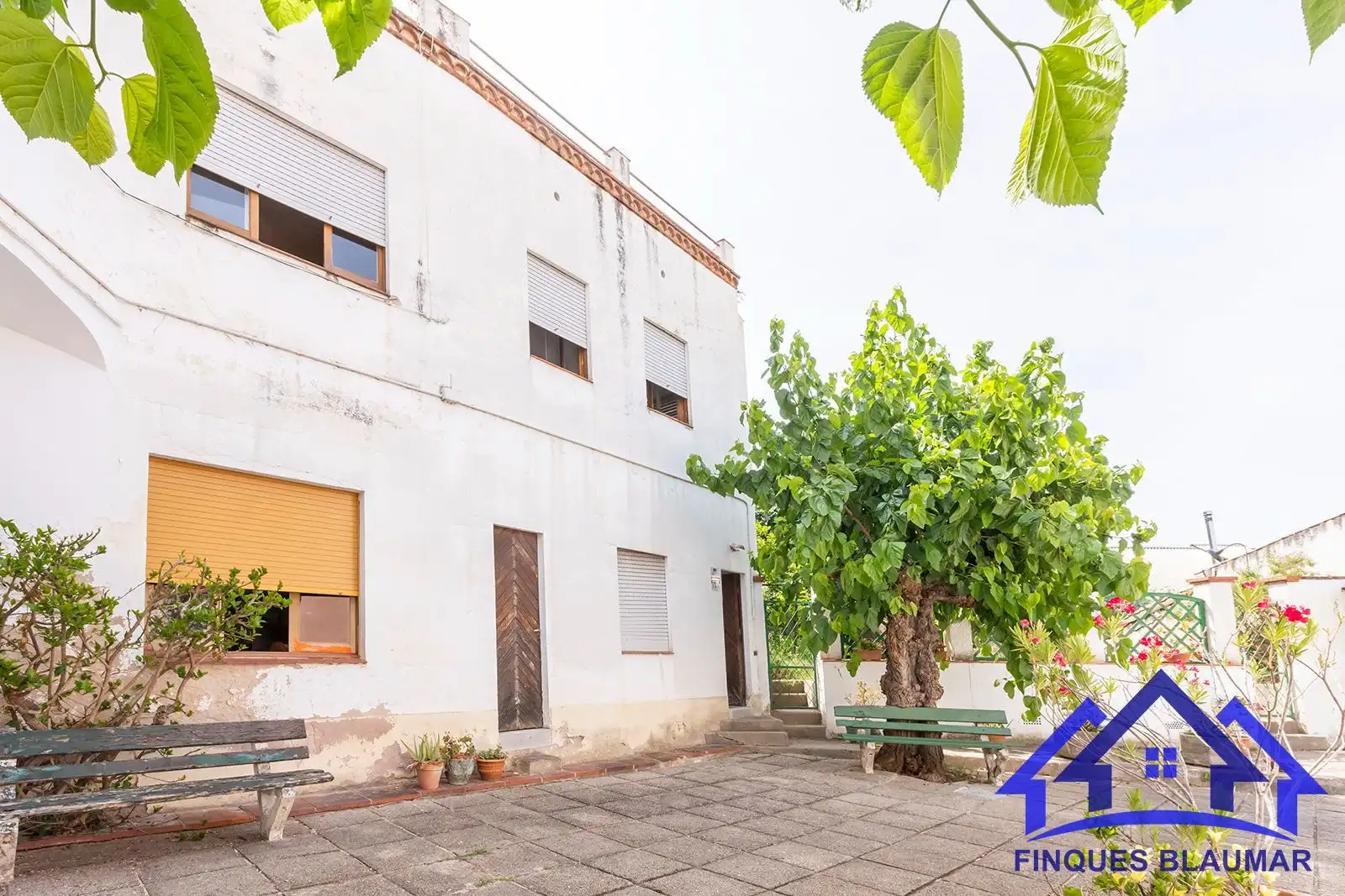 Vista exterior de Finca rústica en venda en Arenys de Mar amb Calefacció, Jardí privat i Terrassa