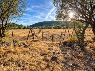 Terreny rústic en venda a Alcalá de los Gazules