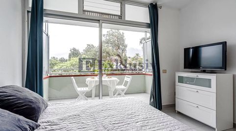 Foto 3 de Estudio en venta en San Antonio - Las Arenas, Puerto de la Cruz