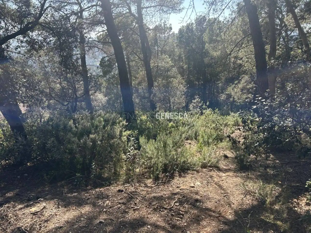 Wohnbaugrundstück zum Verkauf in Calle Camí del Moliner 59, imagen 9