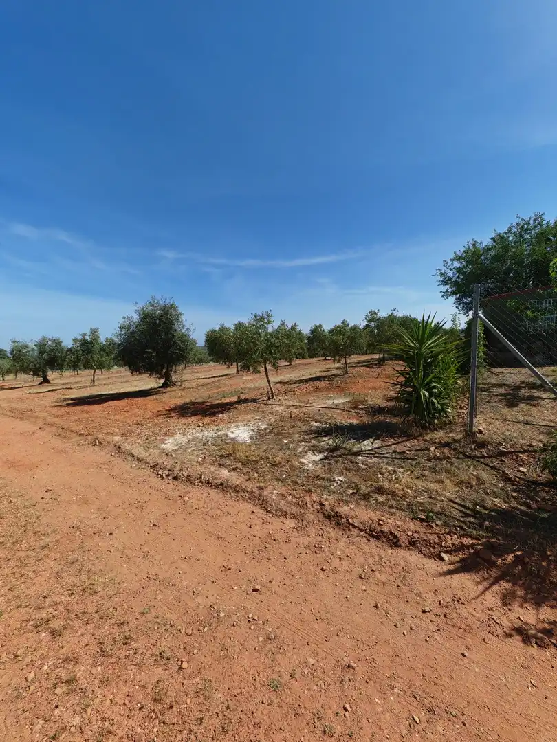 Casa o chalet en venta en Guareña con Terraza y Piscina
