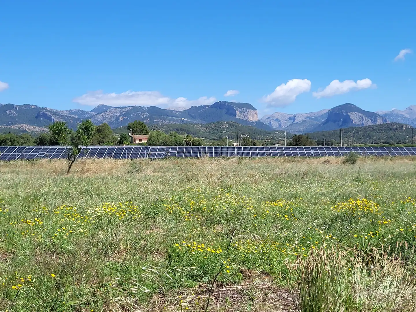 Terrain rustique à vendre à Polígono 2 Parcela 1