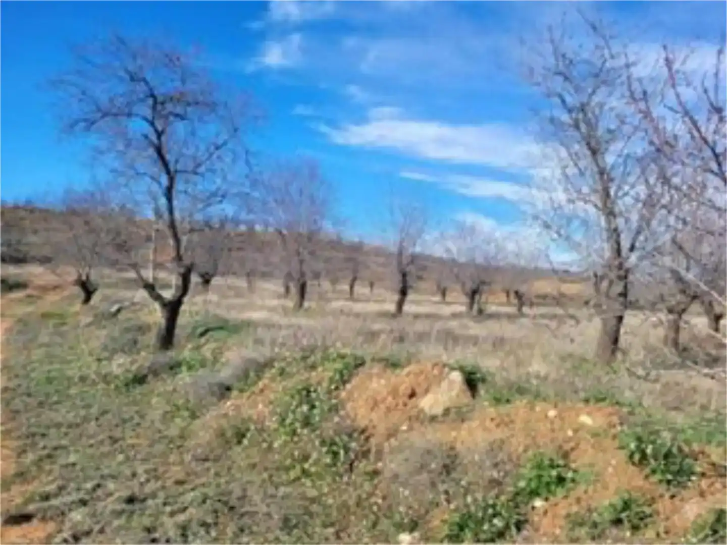 Terreno en venta en Torralba de Ribota
