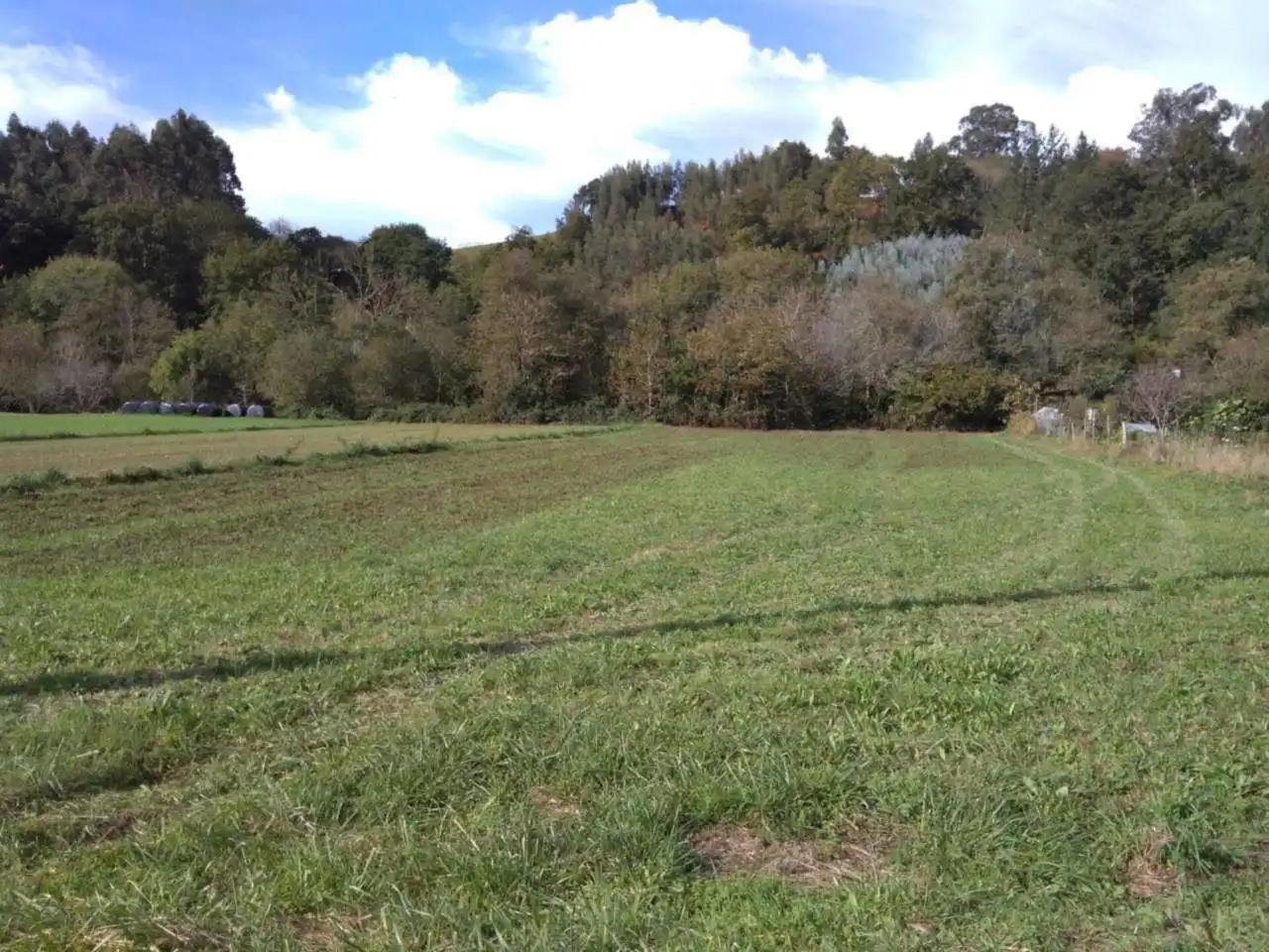 Rural land for sale in Calle Bernales 1, imagen 10