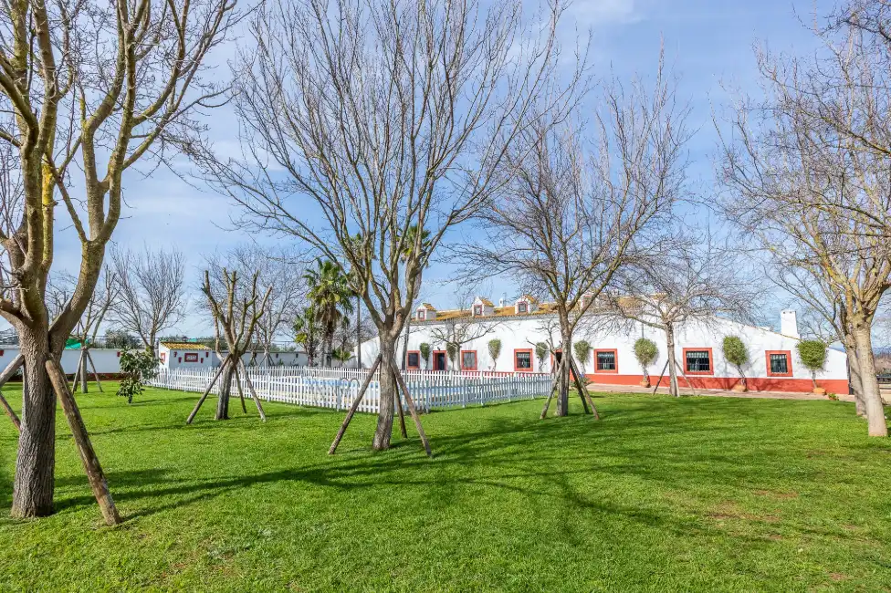 Casa rústica amb terrassa en venda a Carretera Guadajoz, imagen 4