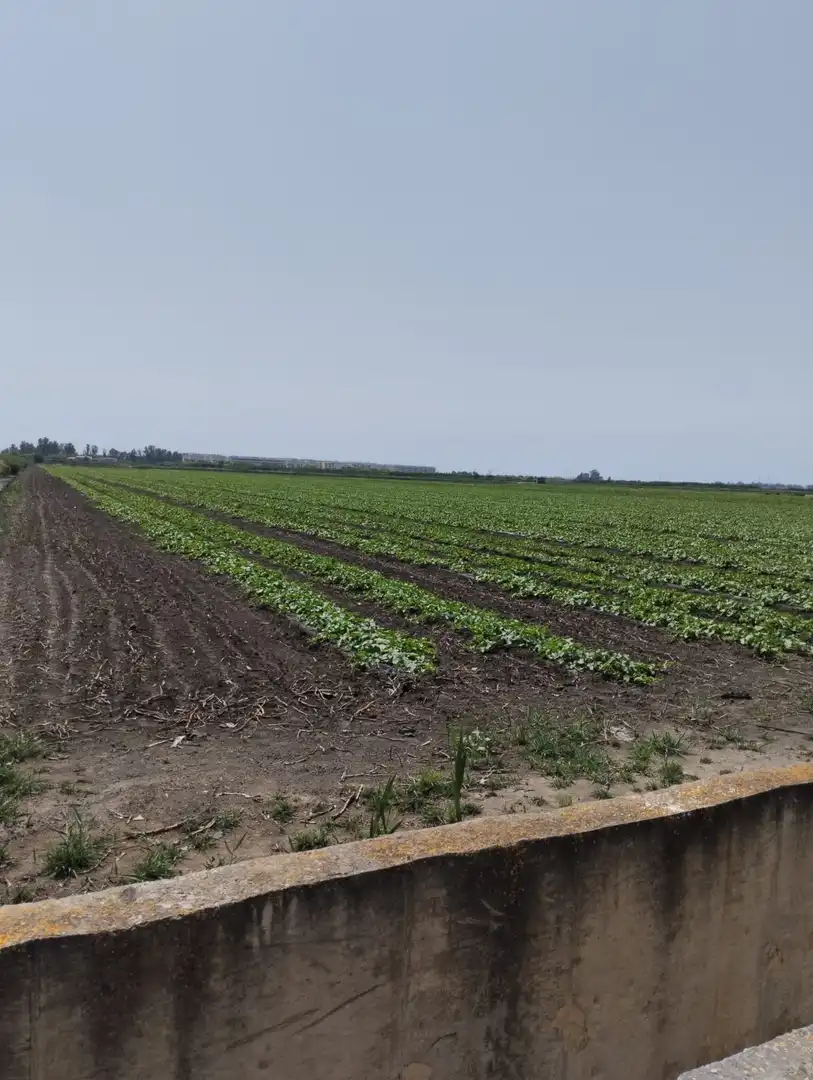 Rural land for sale in N/A, imagen 30
