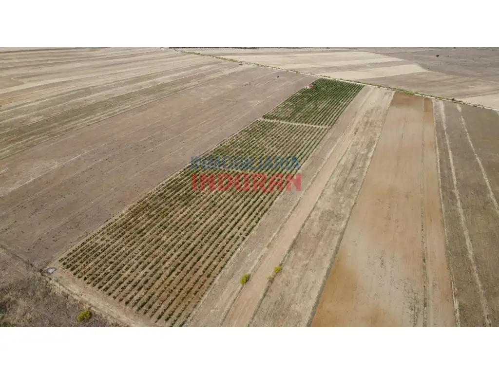 Casa rústica en venda a Villar del Pedroso, imagen 4