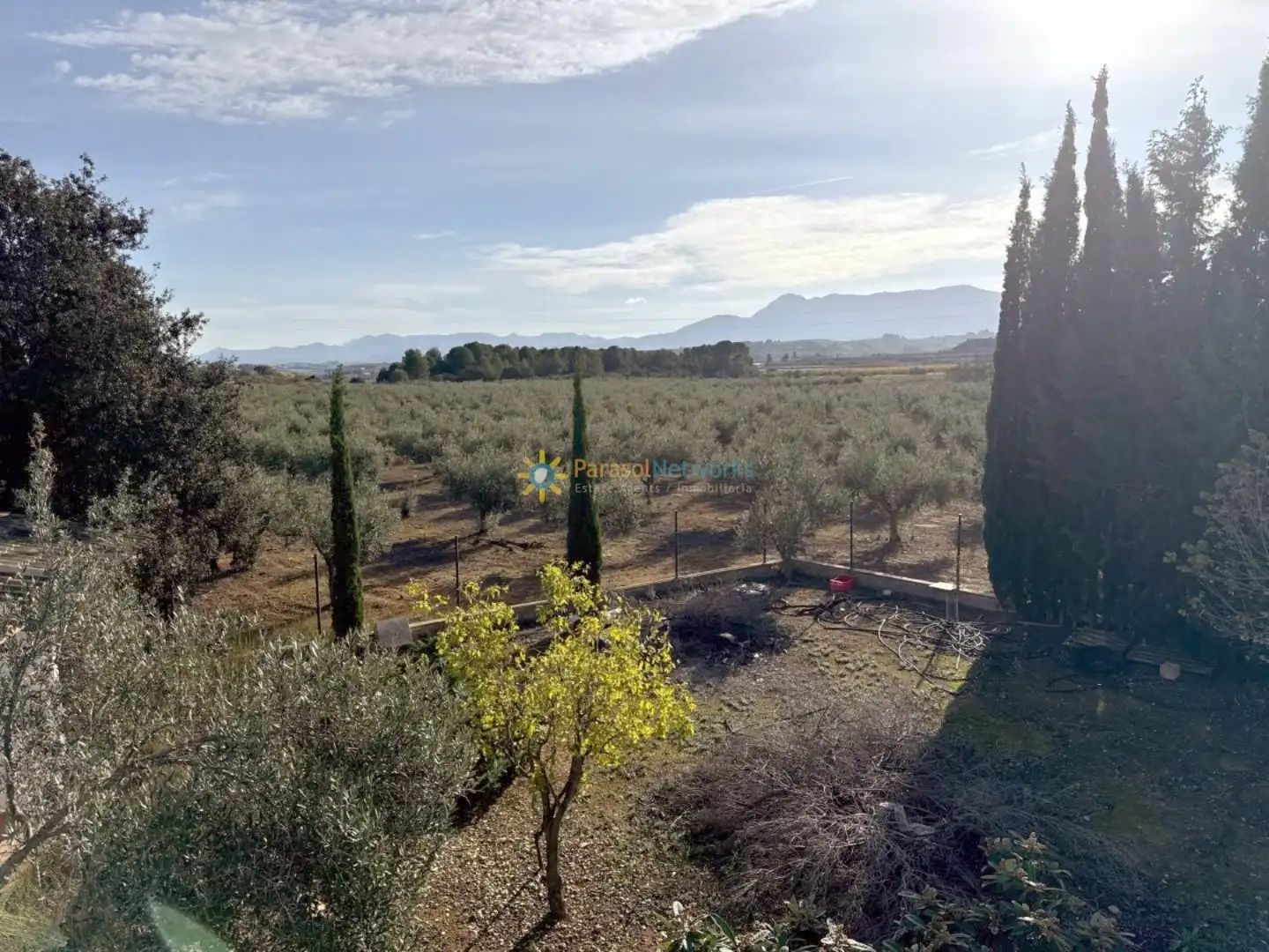 Casa rústica amb jardí en venda a El Palomar, imagen 22