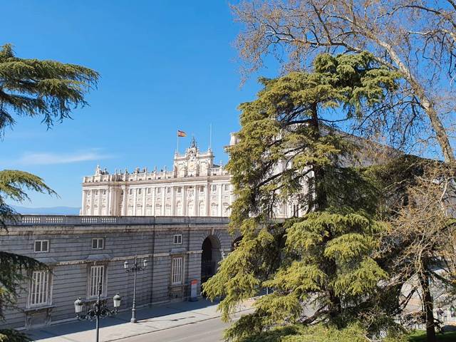 Local comercial en Venta en Calle Mayor, 76 en Palacio