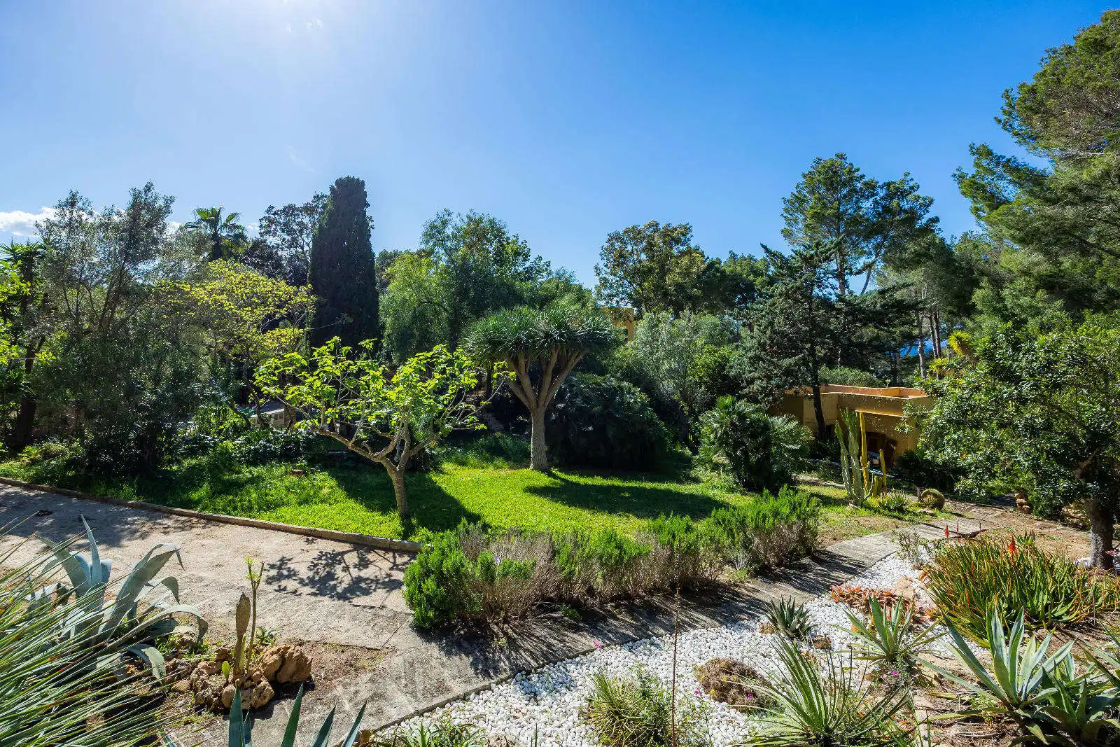 Jardí de Casa o xalet en venda en Artà amb Aire condicionat, Terrassa i Moblat