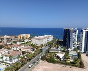 Vista exterior de Apartament en venda en Torrevieja amb Calefacció, Jardí privat i Terrassa