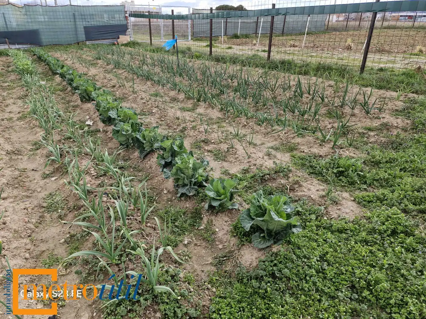 Land for sale in Babilafuente