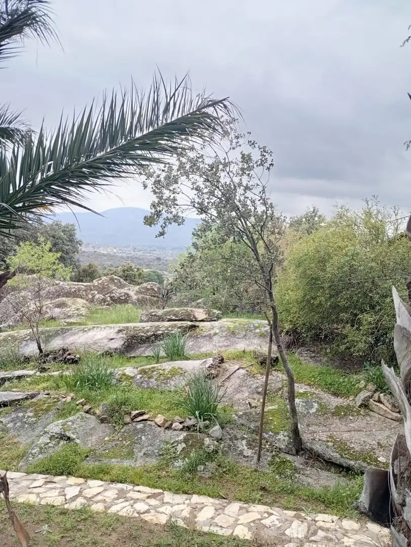 Terreni e lotti in vendita a El Tiemblo, imagen 4
