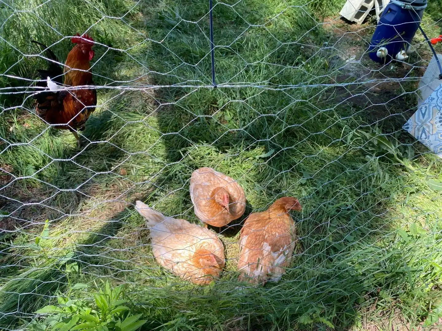 Garten von Grundstücke zur Miete in Clarés de Ribota