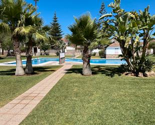 Swimming pool of Single-family semi-detached for sale in Málaga Capital  with Air Conditioner and Balcony