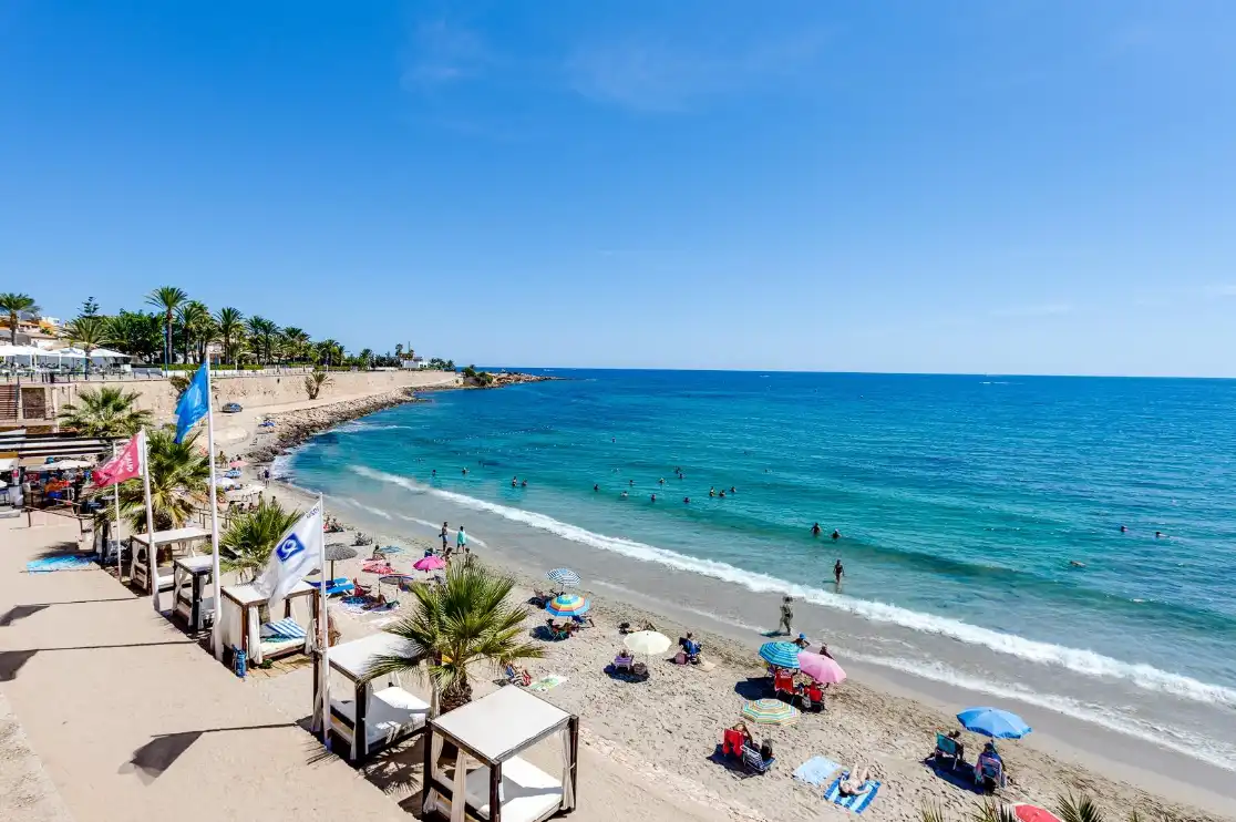Vista exterior de Casa o xalet en venda en Alicante / Alacant amb Aire condicionat, Traster i Piscina