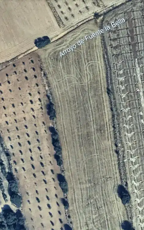 Terreno rústico en venta en Guadahortuna, imagen 6
