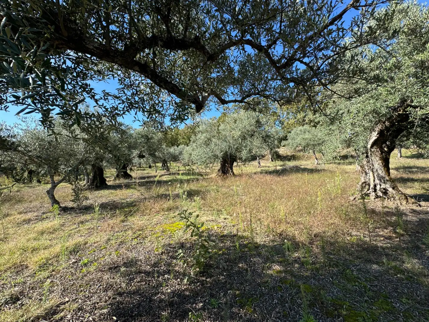Finca rústica en venta en Candeleda con Jardín privado