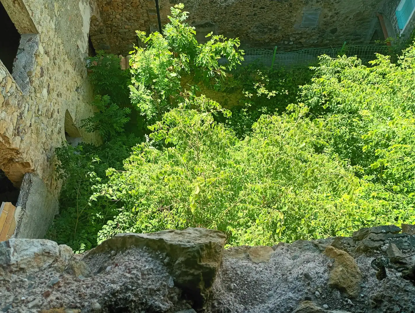 Jardí de Casa o xalet en venda en Soriguera amb Terrassa i Traster