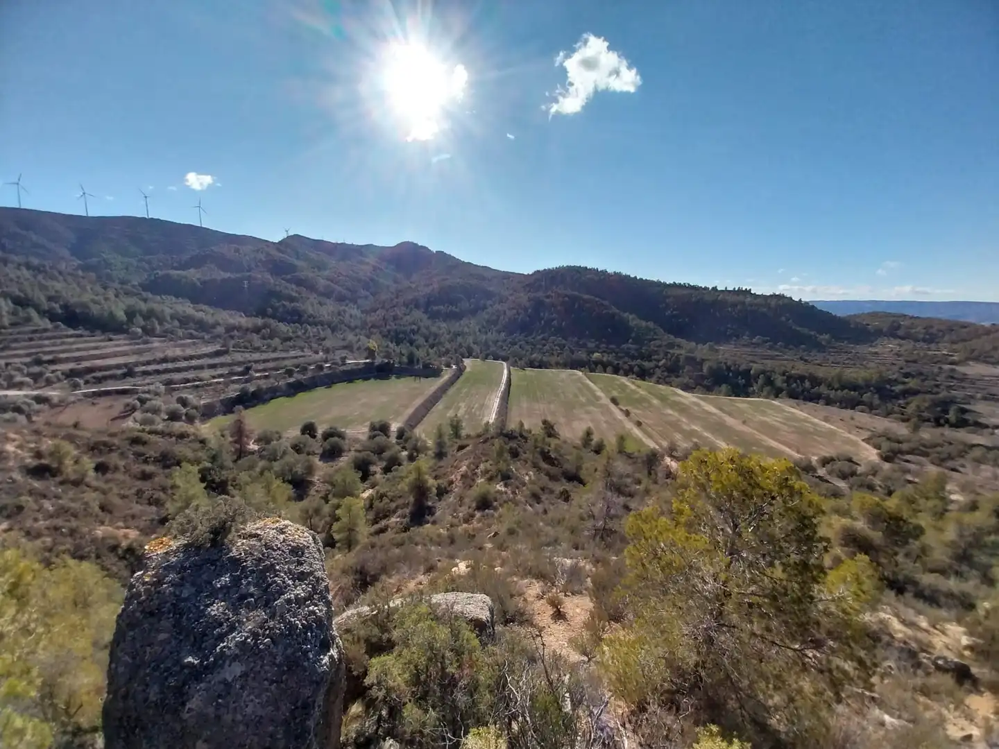 Vista exterior de Terreno en venta en La Torre de l'Espanyol