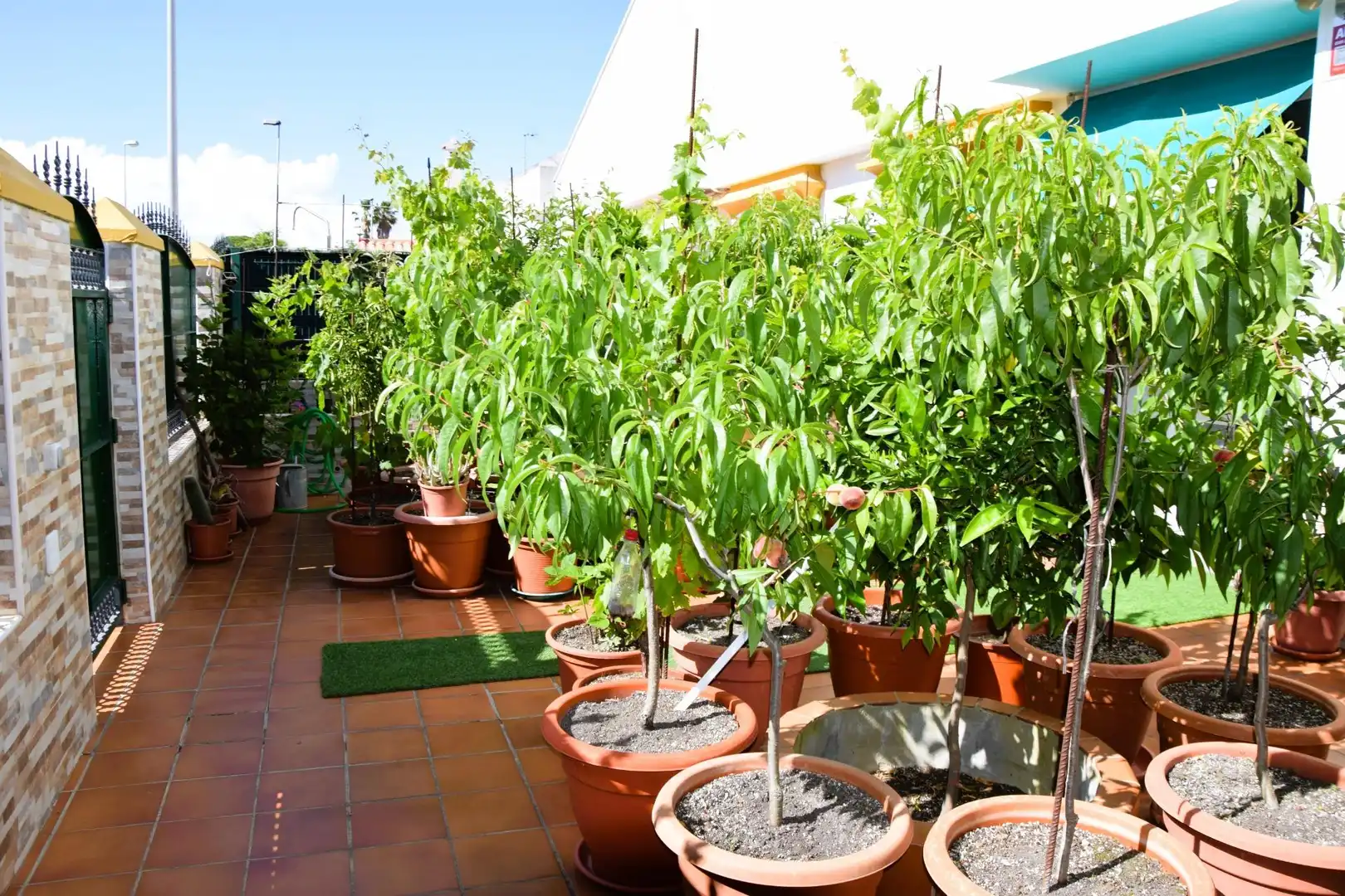 Terrace of Houses for sale in El Portil  with Air Conditioner, Heating and Terrace