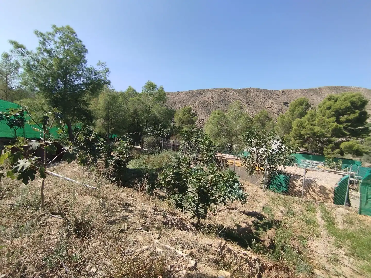 Terreno rustico in vendita a Santa Fe de Mondújar, imagen 58