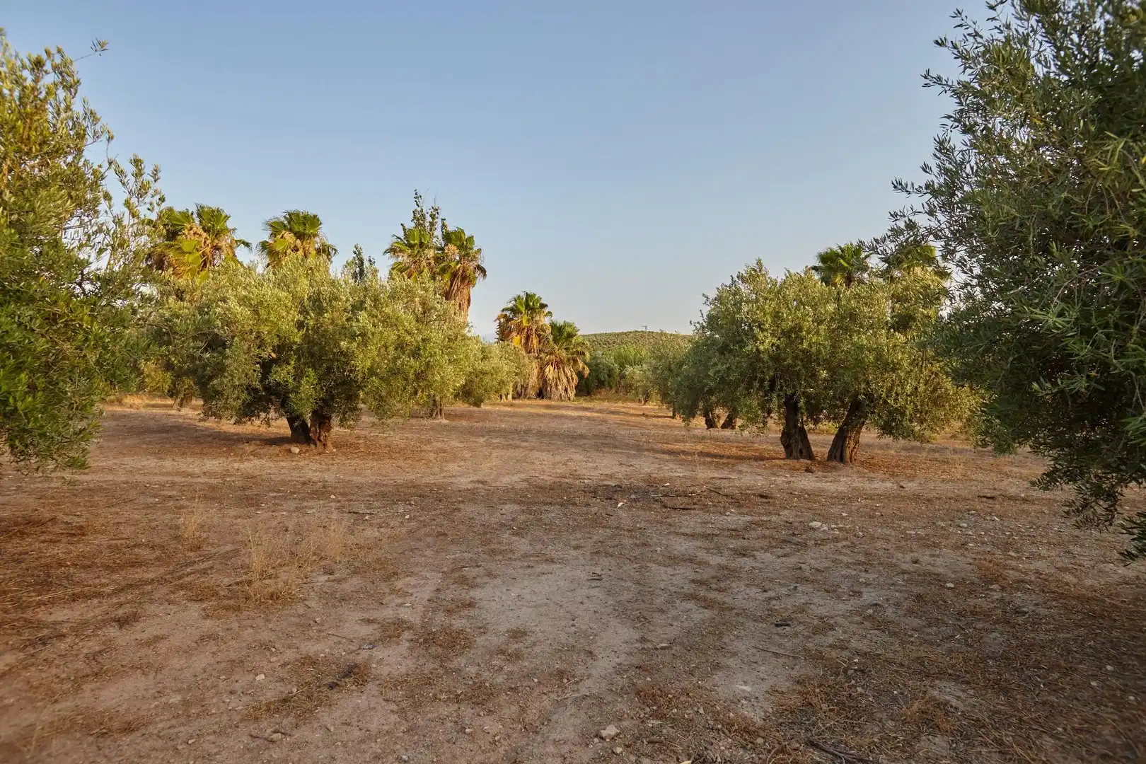 Finca rústica en venta en Jaén con Aire acondicionado, Jardín privado y Terraza