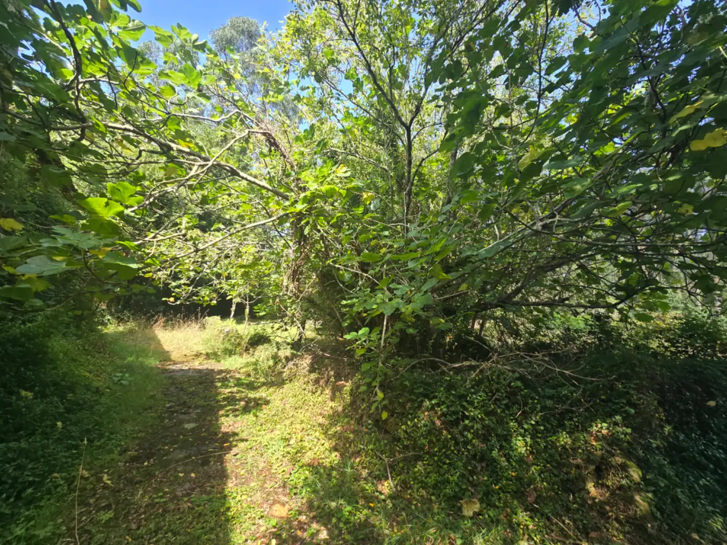 Finca rústica en venta en Viveiro con Jardín privado y Trastero