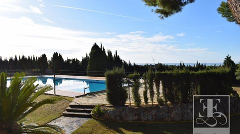 Masia Única, image 3