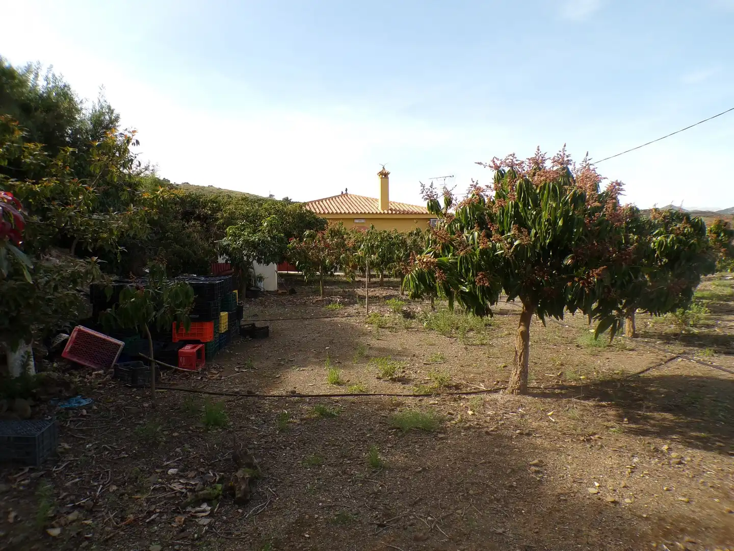 Houses for sale in Almáchar  with Air Conditioner, Private garden and Furnished