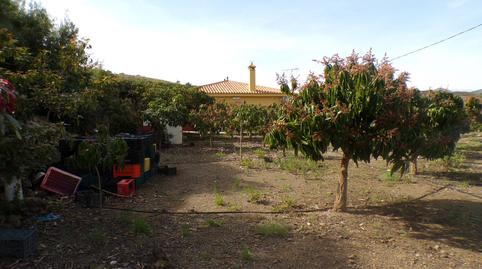 Photo 2 of House or chalet for sale in Almáchar, Málaga