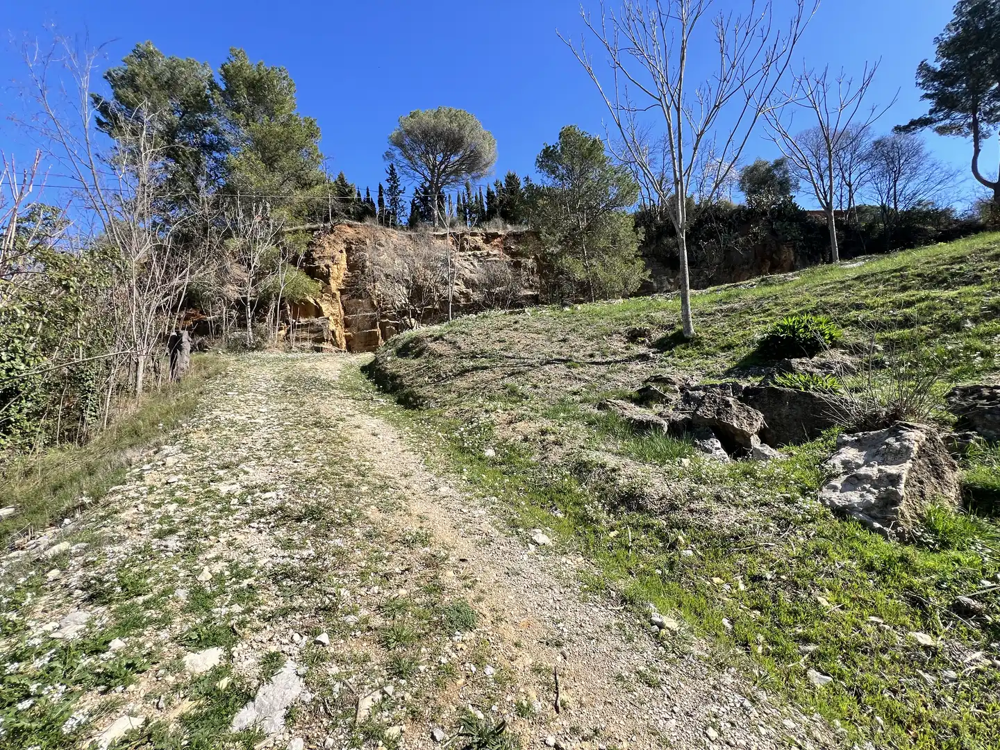 Casa o xalet en venda a Carme - Vistalegre