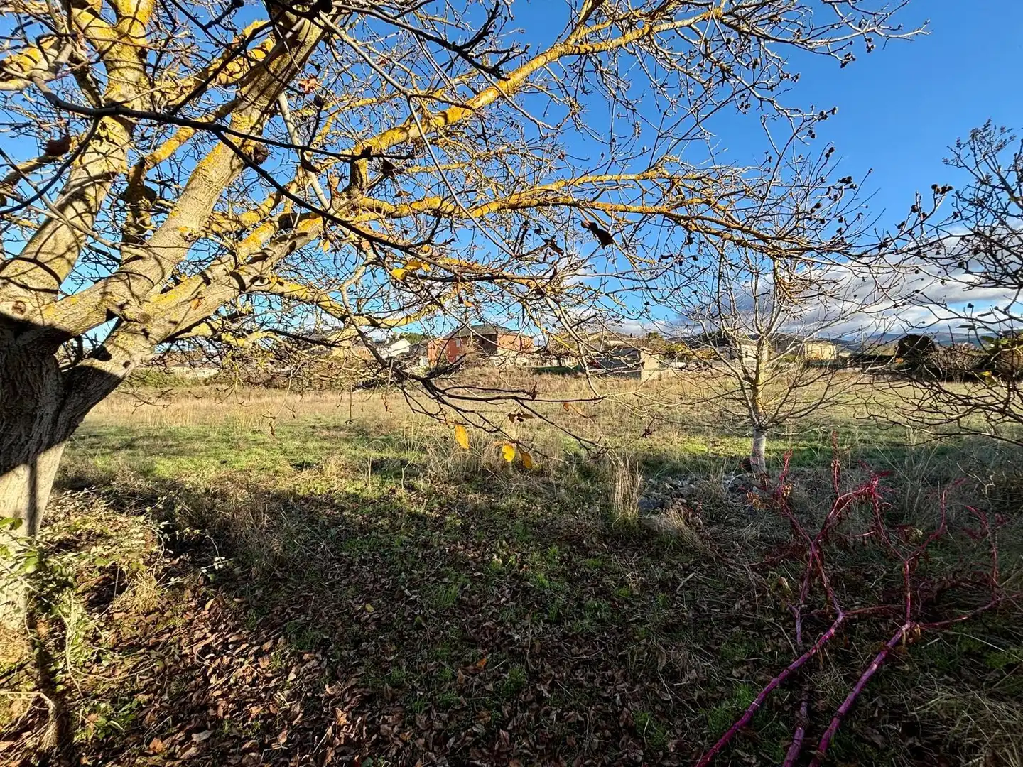 Terreni e lotti in vendita a Urbanización Patricia - Campo, imagen 12