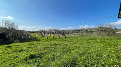 Foto 4 de Casa o xalet en venda a N-634, 12, Nava, Asturias