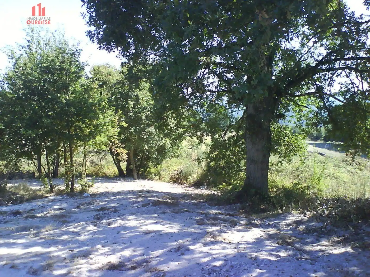 Terreni e lotti in vendita a Nogueira de Ramuín, imagen 2