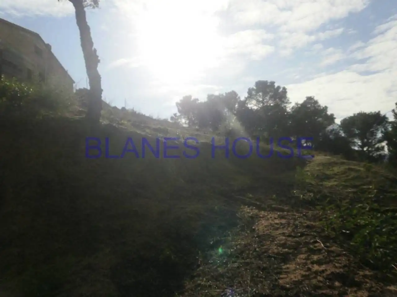Terreno residencial en venta en Mas Altaba - El Molí, imagen 3