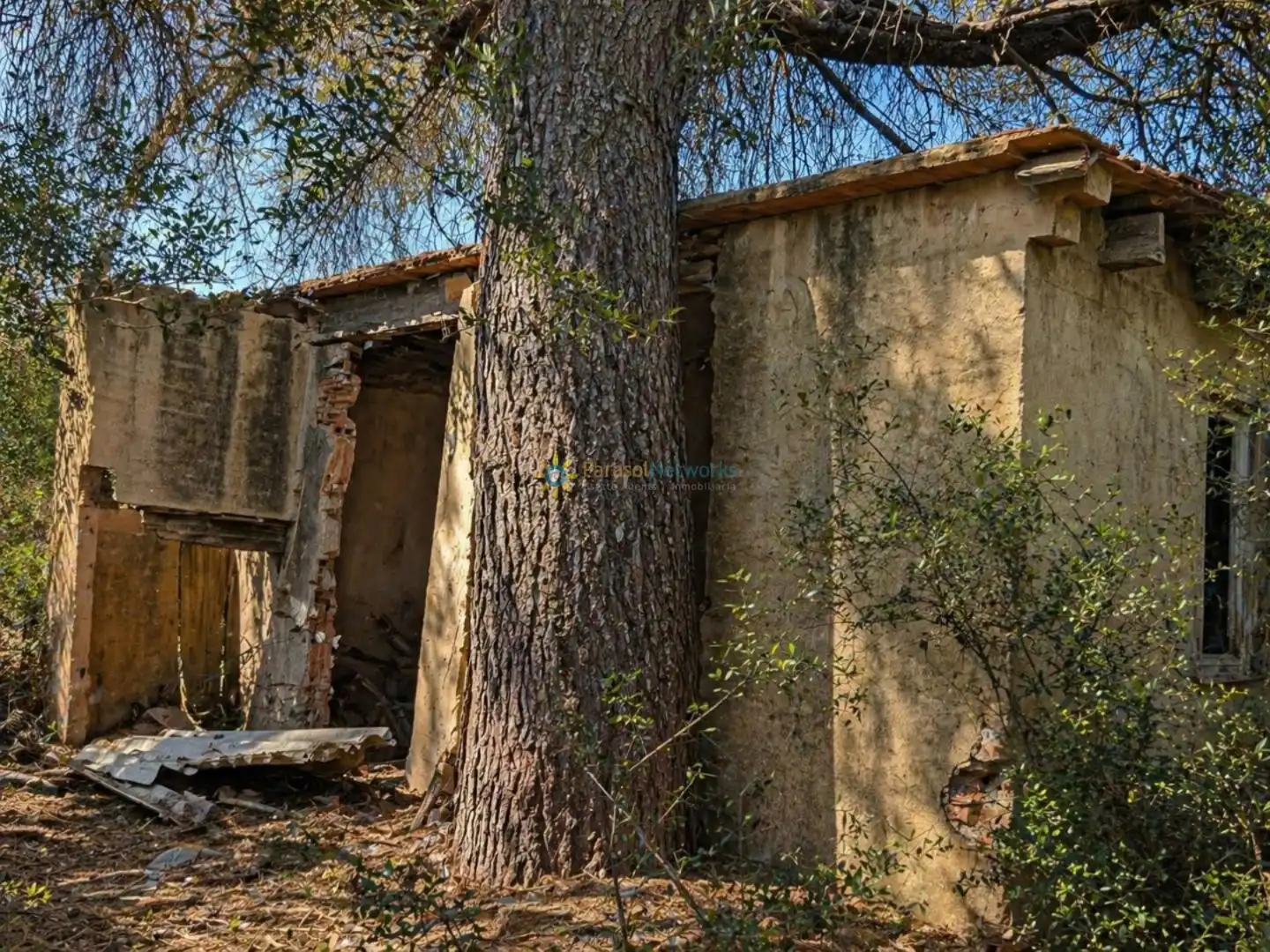 Vista exterior de Terreno en venta en Bellús