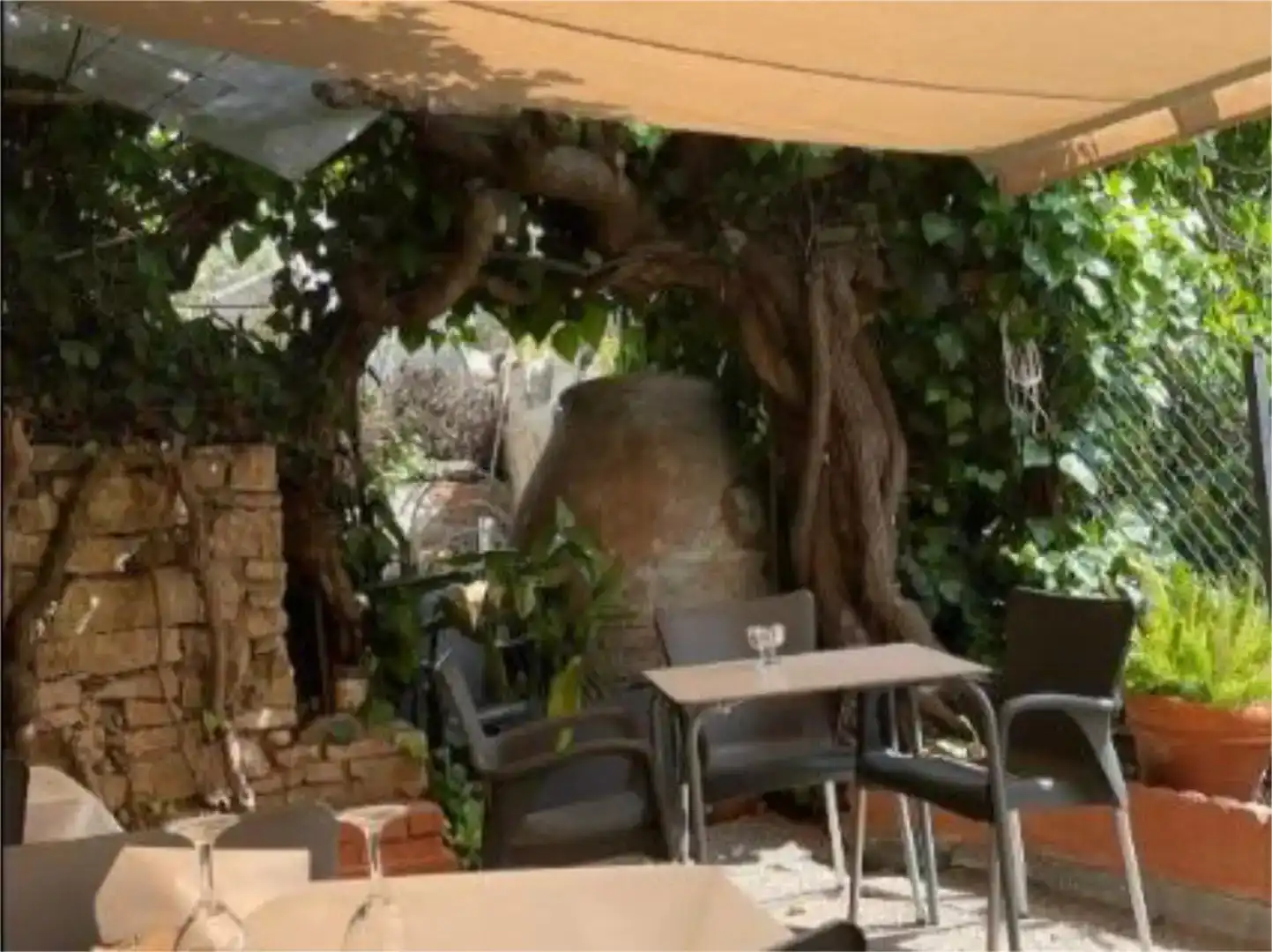 Terraza de Local en venta en Patones