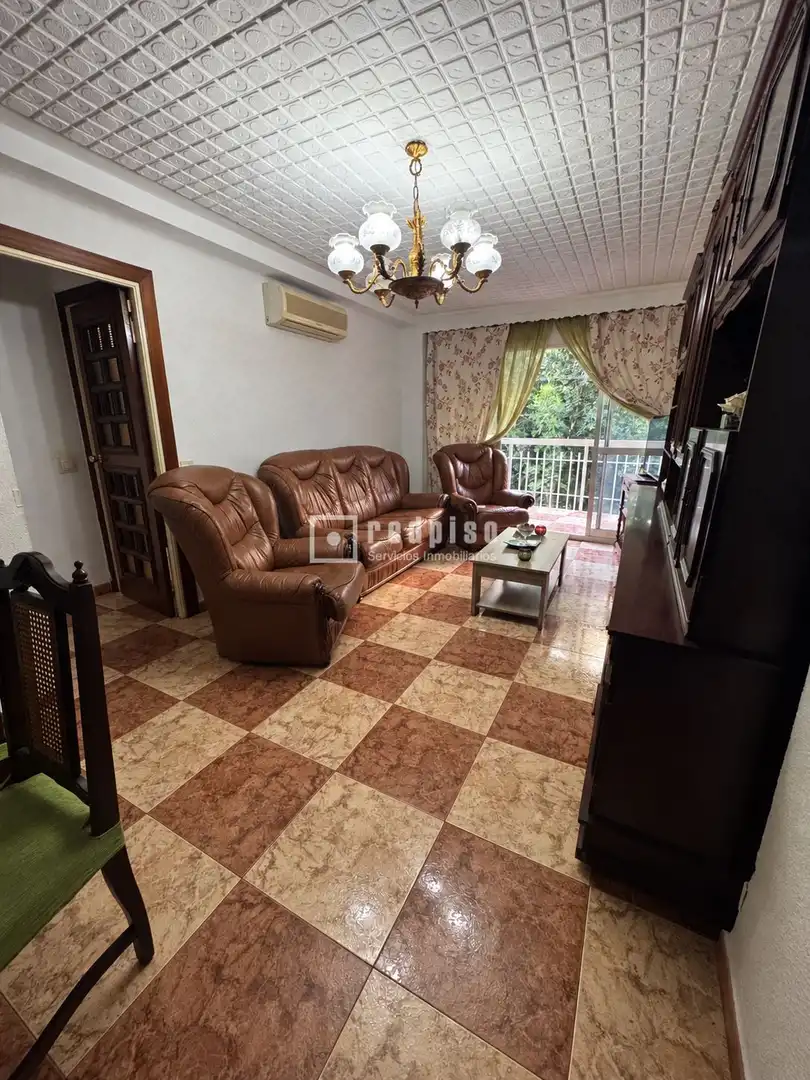 Living room of Flat for sale in Carretera de Cádiz