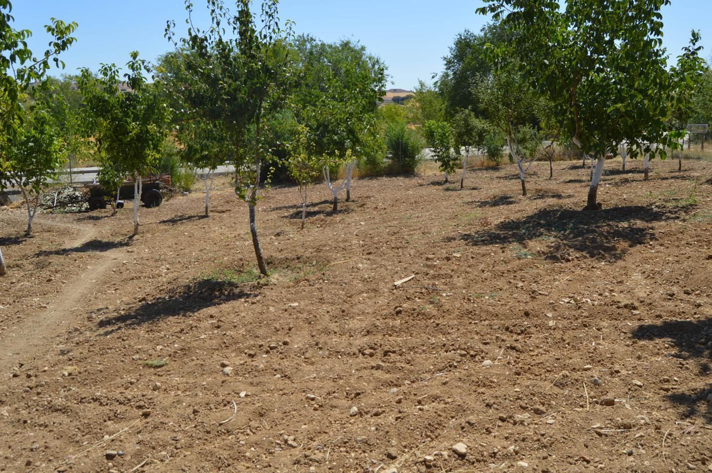 Casa o chalet en venta en Villar de Cañas con Jardín privado