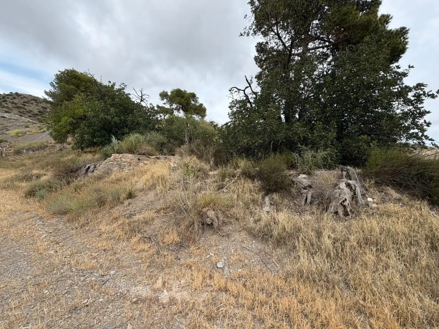 Finca rústica en venta en Lorca con Jardín privado, Terraza y Piscina