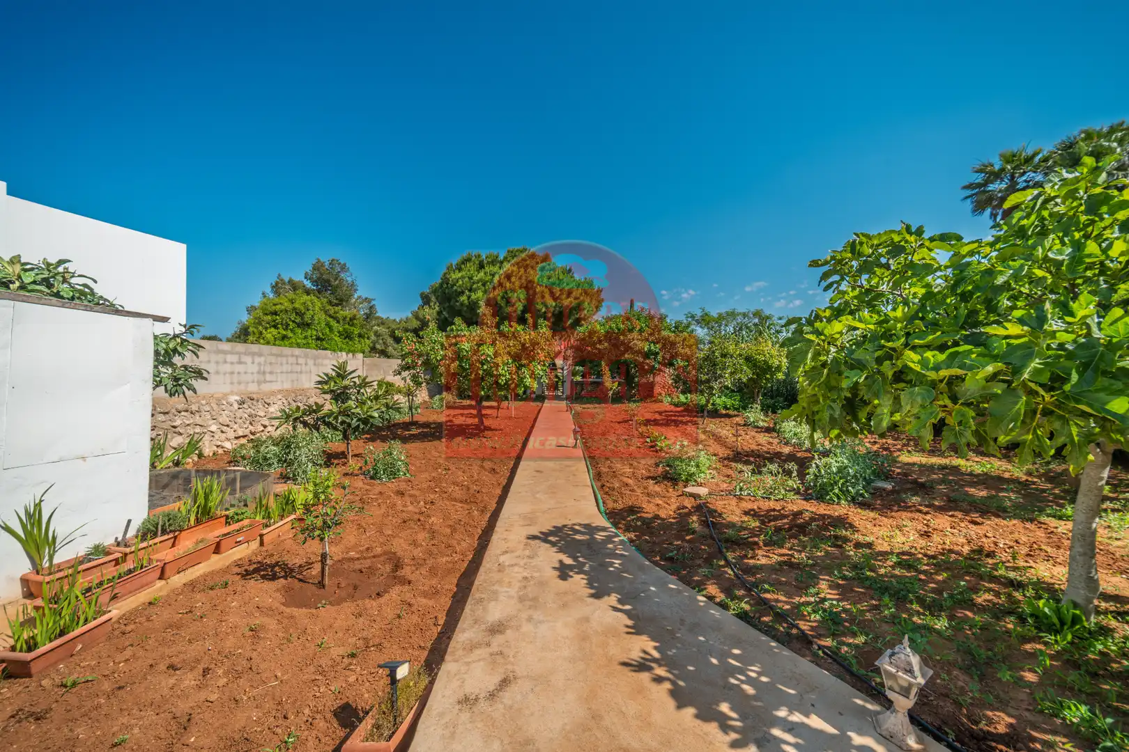 Villa mit Garten zum Verkauf in Cala Blanca, imagen 22