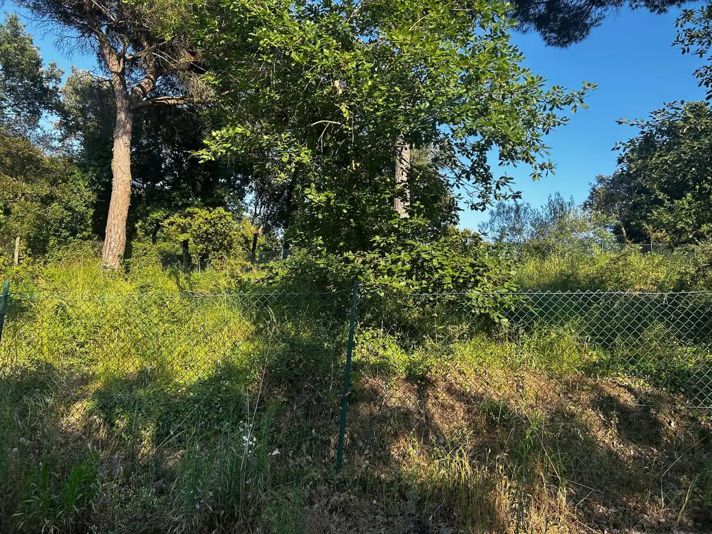 Residential land for sale in Residencial Park, imagen 22