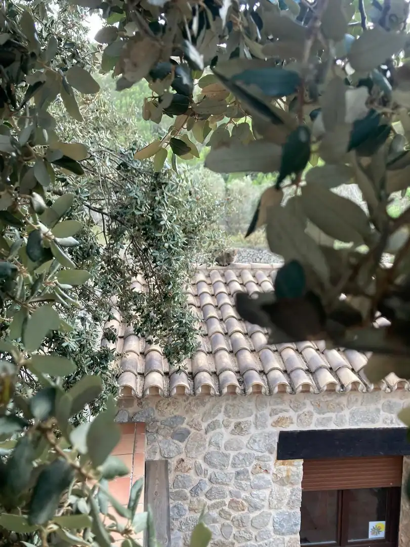 Chalet en venta en La Vall de Laguar, imagen 11