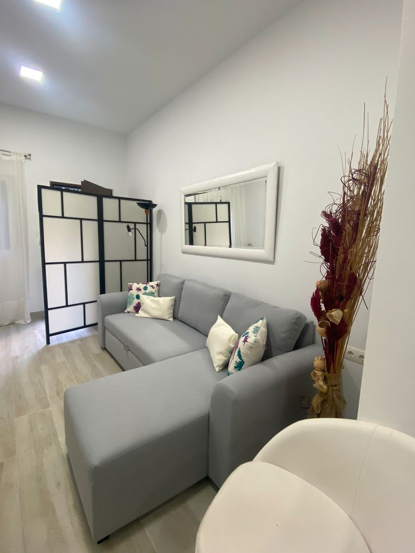 Living room of Apartment to rent in  Sevilla Capital  with Air Conditioner, Heating and Furnished