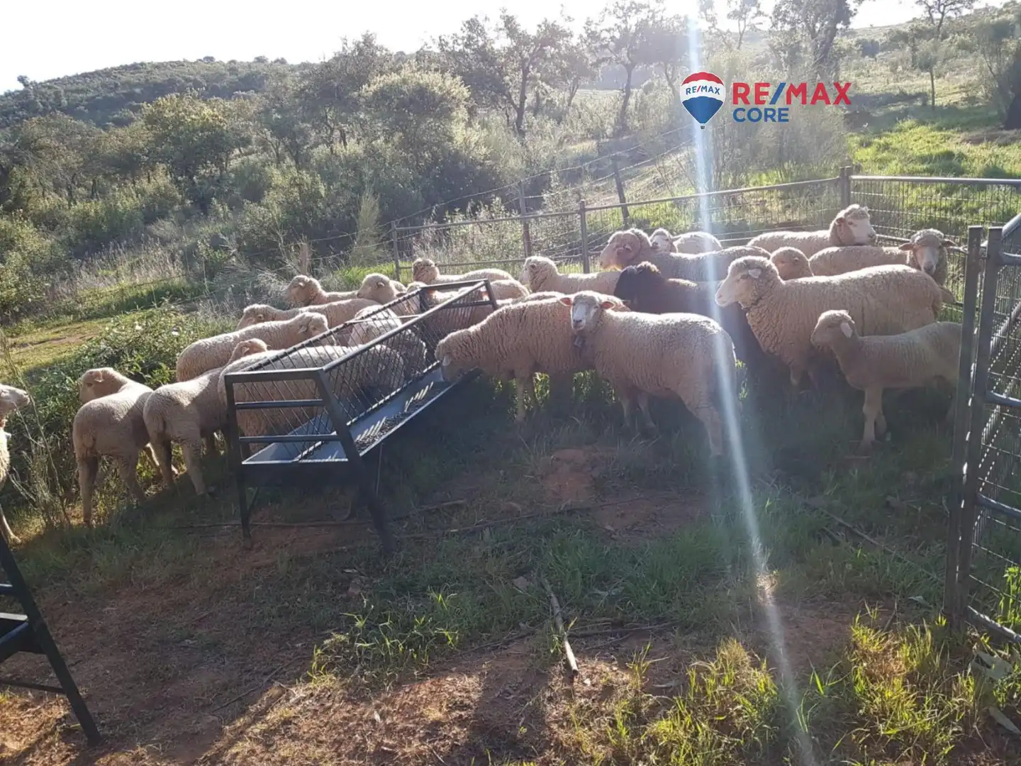 Terreni e lotti in vendita a Alburquerque, imagen 29