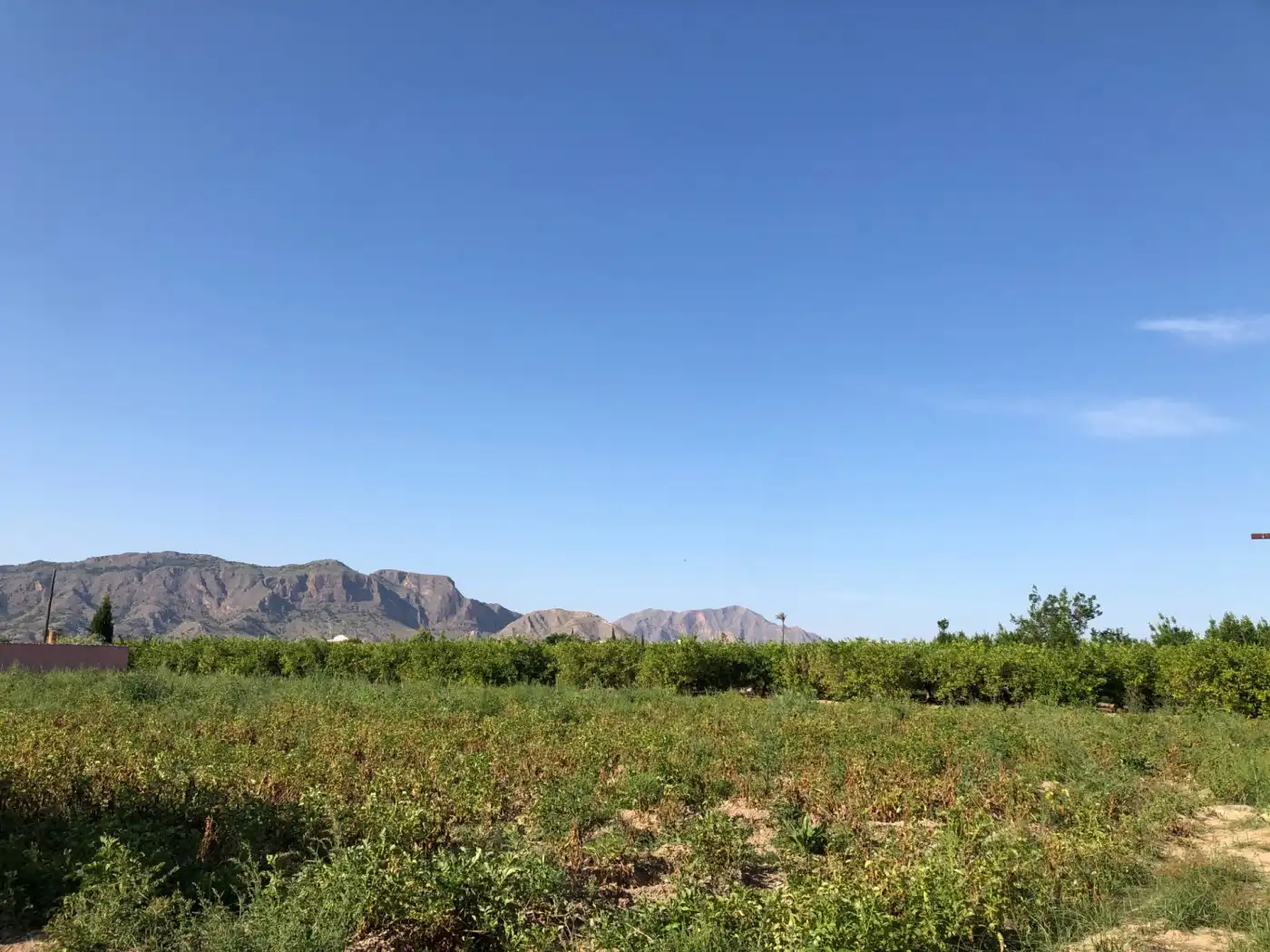 Casa con jardín en venta en Vereda DESAMPARADOS 106, imagen 5